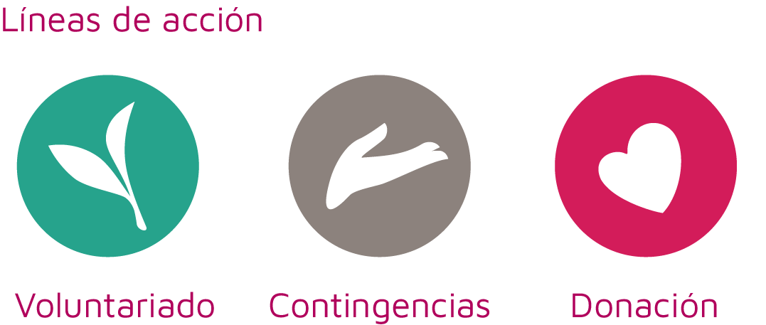 Lineas de acción, voluntariado, contingencias y donación